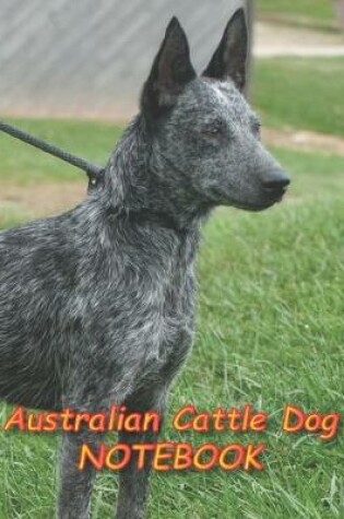 Cover of Australian Cattle Dog NOTEBOOK
