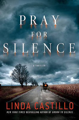Book cover for Pray for Silence
