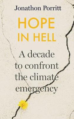 Book cover for Hope in Hell