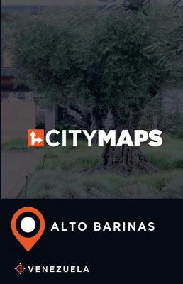 Book cover for City Maps Alto Barinas Venezuela