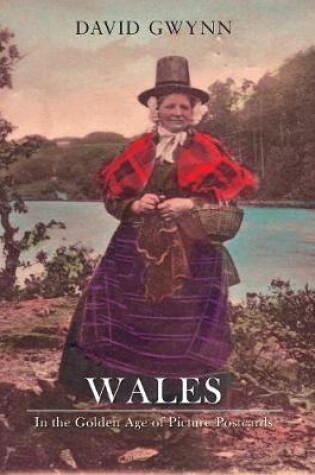 Cover of Wales In the Golden Age of Picture Postcards