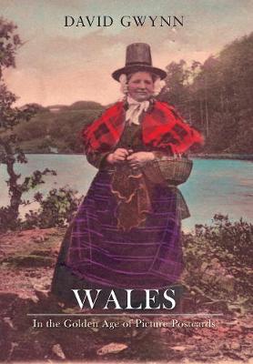 Book cover for Wales In the Golden Age of Picture Postcards