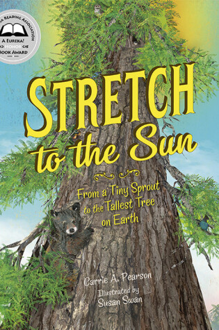 Cover of Stretch to the Sun