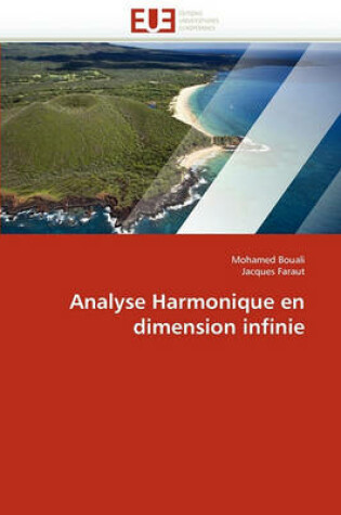 Cover of Analyse Harmonique En Dimension Infinie