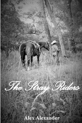 Book cover for The Stray Riders