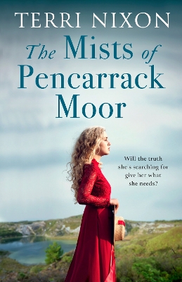 Book cover for The Mists of Pencarrack Moor