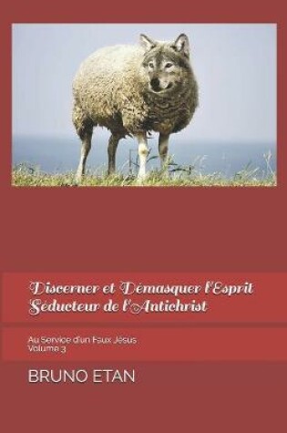 Cover of Discerner et Demasquer l'Esprit Seducteur de l'Antichrist