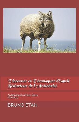 Book cover for Discerner et Demasquer l'Esprit Seducteur de l'Antichrist