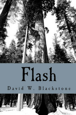 Cover of Flash