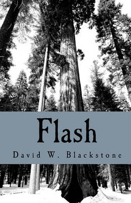 Book cover for Flash