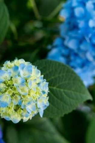 Cover of Baby Blue and Yellow Hydrangea Flowers Journal