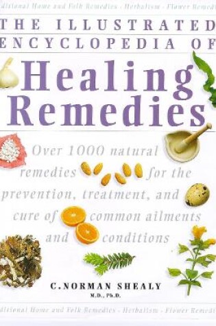 Cover of Healing Remedies