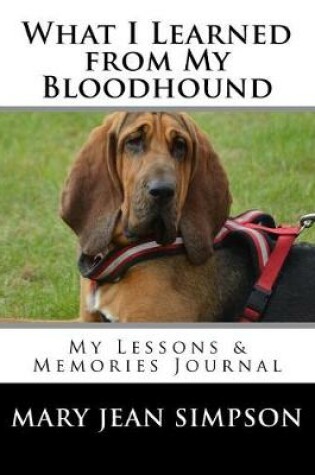 Cover of What I Learned from My Bloodhound