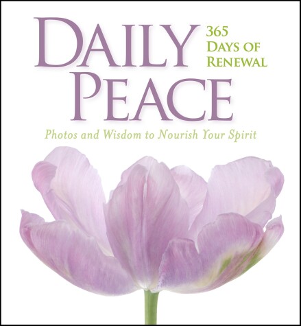 Book cover for Daily Peace