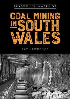 Book cover for Bradwell's Images of South Wales Coal Mining