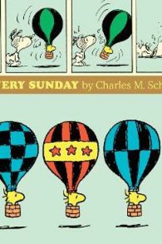 Cover of Peanuts Every Sunday 1986-1990