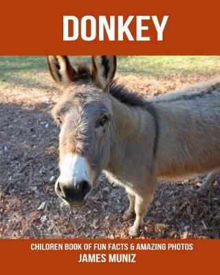 Book cover for Donkey