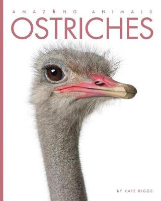 Cover of Ostriches