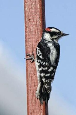 Cover of Downy Woodpecker, Birds of the World