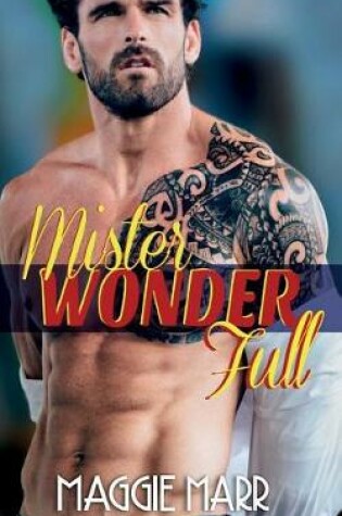 Cover of Mister Wonderfull