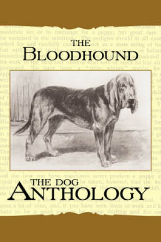 Cover of The Bloodhound - A Dog Anthology (A Vintage Dog Books Breed Classic)