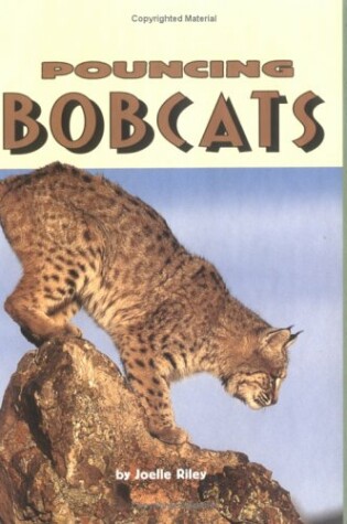 Cover of Pouncing Bobcats