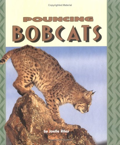 Book cover for Pouncing Bobcats