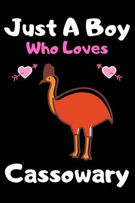 Book cover for Just a boy who loves cassowary