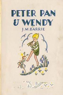 Book cover for Peter pan & Wendy (novel) (1911)