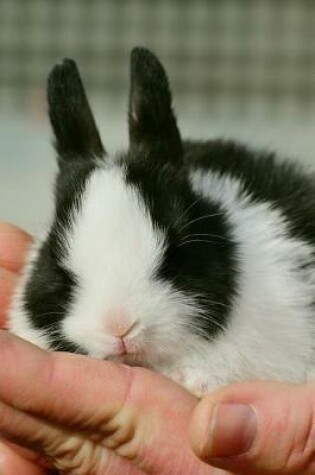 Cover of Cute Little Bunny Being Held Journal