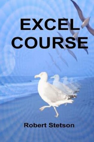 Cover of Excel Course