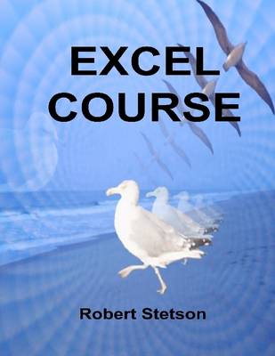 Book cover for Excel Course