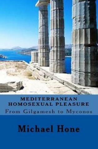 Cover of Mediterranean Homosexual Pleasure