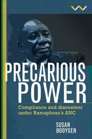 Cover of Precarious Power