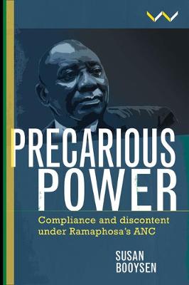 Book cover for Precarious Power