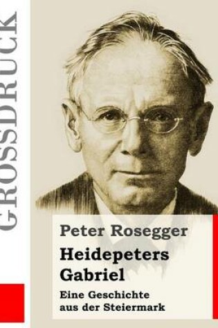 Cover of Heidepeters Gabriel (Grossdruck)