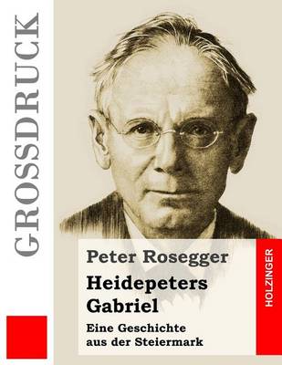 Book cover for Heidepeters Gabriel (Grossdruck)