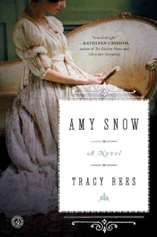 Cover of Amy Snow