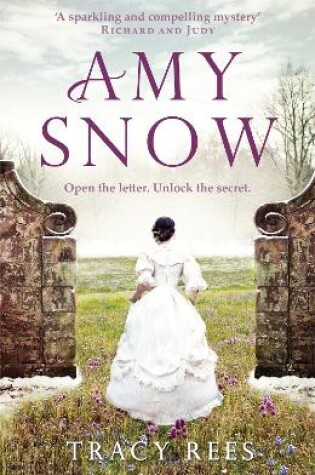 Cover of Amy Snow