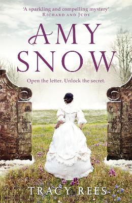 Book cover for Amy Snow