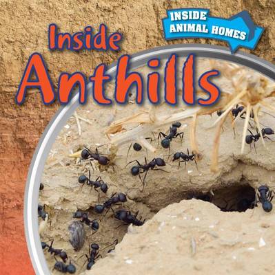 Cover of Inside Anthills