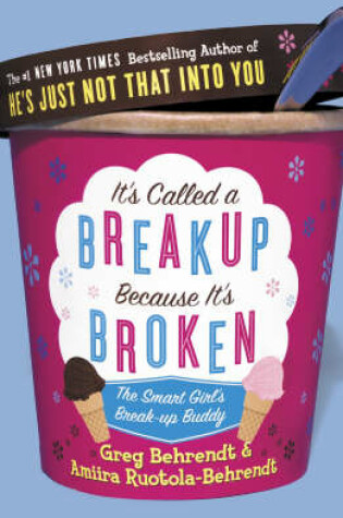 Cover of It's Called a Break-up Because it's Broken