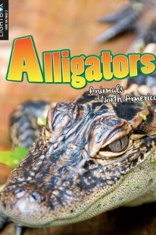 Cover of Alligators