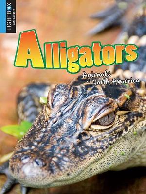 Cover of Alligators