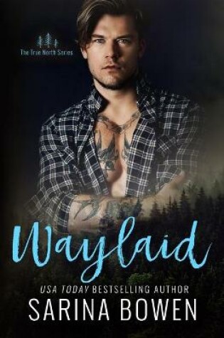 Cover of Waylaid