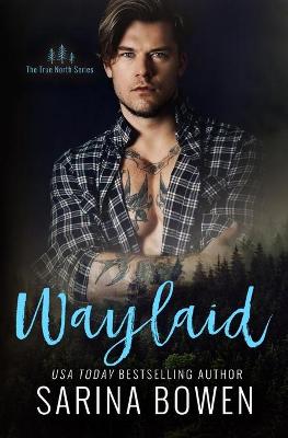 Book cover for Waylaid
