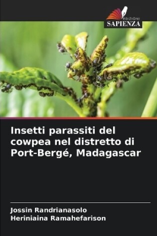 Cover of Insetti parassiti del cowpea nel distretto di Port-Bergé, Madagascar