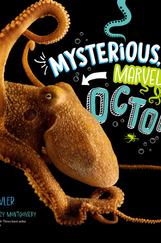 Cover of Mysterious, Marvelous Octopus!