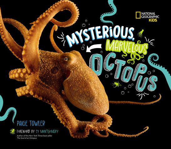 Book cover for Mysterious, Marvelous Octopus!