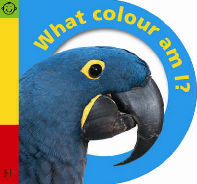 Cover of Baby Buddies - What Colour Am I